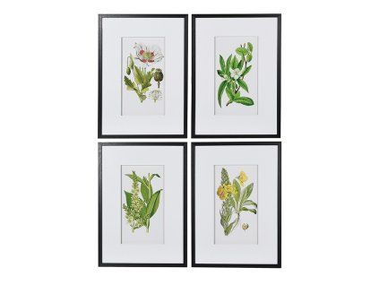 Set čtyř obrazů Garden Floral 70x50cm