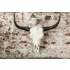 Luxusní lebka býka El Toro 70cm