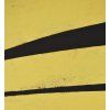 Designový obraz Yellow Place 100x140cm