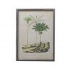 Stylový obraz Palm Tree No2 56x41cm zasklené