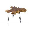 Designový stolek Wild Teak 60 cm teak